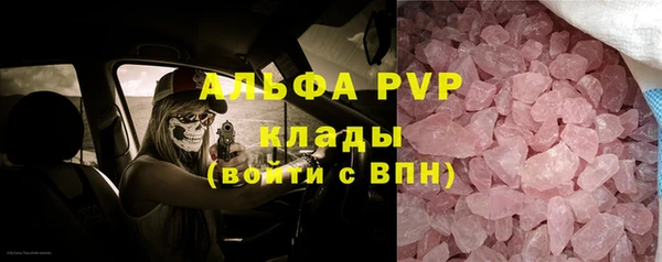 шишки Арсеньев