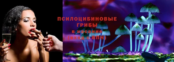 круглые Аркадак
