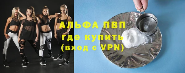 шишки Арсеньев