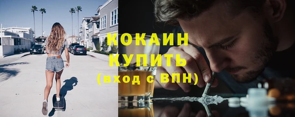 шишки Арсеньев