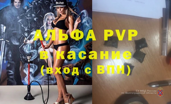 круглые Аркадак