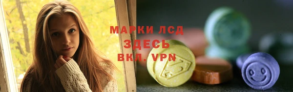 шишки Арсеньев