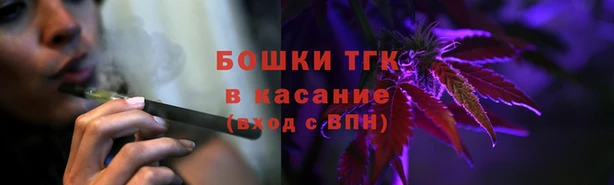 шишки Арсеньев