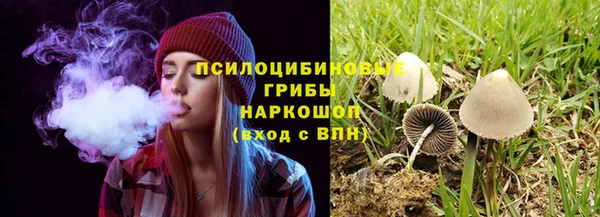 круглые Аркадак