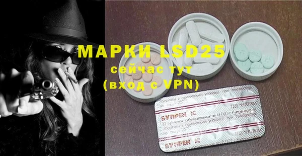 шишки Арсеньев