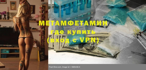 шишки Арсеньев