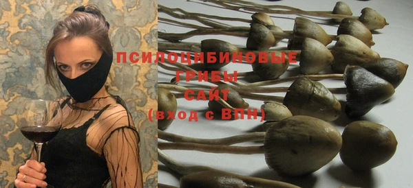 шишки Арсеньев