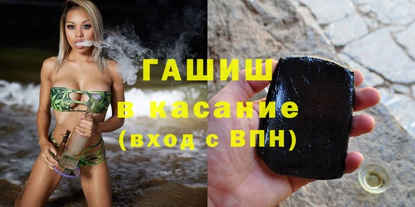 шишки Арсеньев