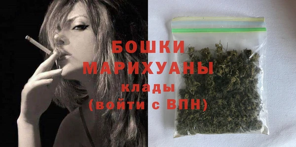 шишки Арсеньев